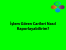 lem Gren Carileri Nasl Raporlayabilirim?